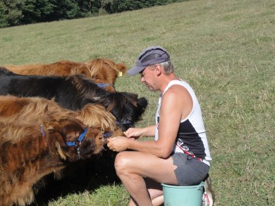 Bildergalerie Anfang