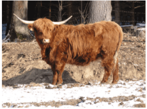 Bildschirmfoto 2014-09-26 um 19.19.42