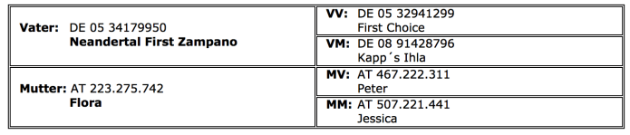 Kila white - Stammbaum